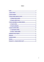 Referāts 'Degvīns', 2.