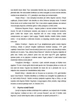 Referāts 'Degvīns', 8.