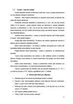 Referāts 'Degvīns', 11.