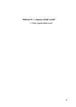 Referāts 'Degvīns', 16.