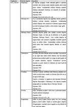 Referāts 'Degvīns', 17.