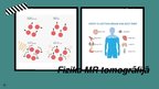 Prezentācija 'Magnētiskās rezonanses tomogrāfijas un tās pamatā esošo fizikas procesu izmantoš', 8.