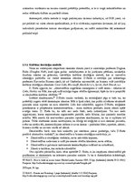 Referāts 'Zīmolu stratēģija', 18.