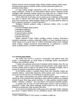 Referāts 'Zīmolu stratēģija', 20.