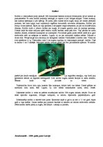 Referāts 'Latvijas un pasaules interesantākie putni', 1.