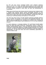 Referāts 'Latvijas un pasaules interesantākie putni', 2.