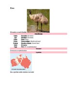 Referāts 'Latvijas un pasaules interesantākie putni', 5.