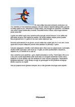 Referāts 'Latvijas un pasaules interesantākie putni', 8.