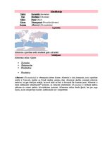 Referāts 'Latvijas un pasaules interesantākie putni', 14.