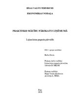 Prakses atskaite 'Praktisko mācību pārskats uzņēmumā', 1.