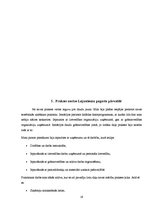 Prakses atskaite 'Praktisko mācību pārskats uzņēmumā', 19.