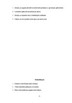 Prakses atskaite 'Praktisko mācību pārskats uzņēmumā', 21.