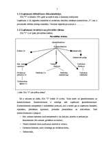 Prakses atskaite 'Prakse uzņēmumā', 3.