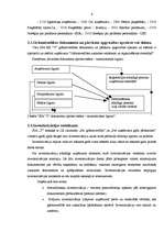 Prakses atskaite 'Prakse uzņēmumā', 6.