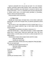 Prakses atskaite 'Prakse uzņēmumā', 15.