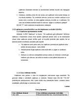 Prakses atskaite 'Prakse uzņēmumā', 17.