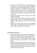 Prakses atskaite 'Prakse uzņēmumā', 20.