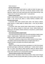 Prakses atskaite 'Prakse uzņēmumā', 23.