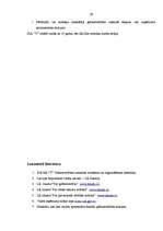 Prakses atskaite 'Prakse uzņēmumā', 29.