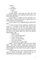 Prakses atskaite 'Prakses atskaite mārketingā', 2.