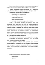 Prakses atskaite 'Prakses atskaite mārketingā', 6.