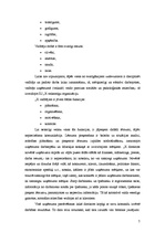 Prakses atskaite 'Prakses atskaite mārketingā', 7.