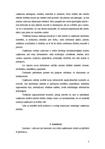 Prakses atskaite 'Prakses atskaite mārketingā', 8.