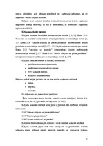 Prakses atskaite 'Prakses atskaite mārketingā', 12.