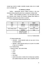 Prakses atskaite 'Prakses atskaite mārketingā', 23.