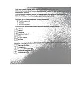 Referāts 'Karjeras izvēli ietekmējošie faktori Jelgavā', 29.