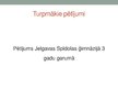Referāts 'Karjeras izvēli ietekmējošie faktori Jelgavā', 46.