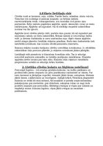 Konspekts 'Lietišķa cilvēka ārējais izskats', 3.