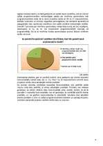 Referāts 'Spējās programmatūras izstrādes metodoloģiju kopiena', 33.