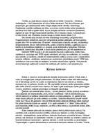 Referāts 'Datordizains no mana un profesionāļu skatupunkta', 3.