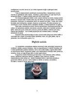 Referāts 'Datordizains no mana un profesionāļu skatupunkta', 4.