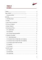 Biznesa plāns 'Business Plan for a Hotel in Miami Date', 3.