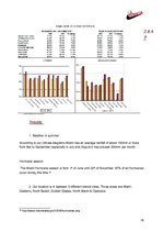 Biznesa plāns 'Business Plan for a Hotel in Miami Date', 19.