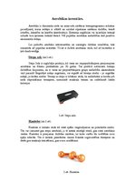 Konspekts 'Aerobikas inventārs', 1.