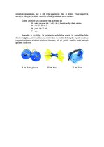 Konspekts 'Aerobikas inventārs', 4.