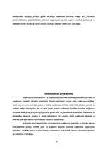 Diplomdarbs 'AS "Valmieras piens" finanšu analīze', 53.