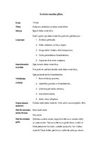 Paraugs 'Izvērsts stundas plāns mājturībā 1.klasei', 1.