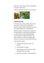 Paraugs 'Izvērsts stundas plāns mājturībā 1.klasei', 3.