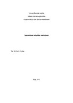 Paraugs 'Sponsorēšanas sadarbības piedāvājums', 1.