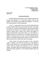 Paraugs 'Sponsorēšanas sadarbības piedāvājums', 2.