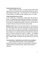 Paraugs 'Sponsorēšanas sadarbības piedāvājums', 5.