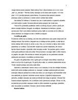 Referāts 'Uzvedības kultūra Īrijā', 5.