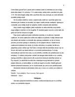 Referāts 'Uzvedības kultūra Īrijā', 6.