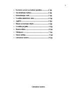 Referāts 'Uzvedības kultūra Īrijā', 8.