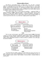 Referāts 'Grāmatvedība', 5.