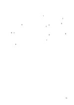 Referāts 'Perianālā/anāla furunkuloze suņiem', 13.